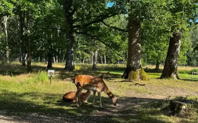 Espace Rambouillet – Forest and Animal Park